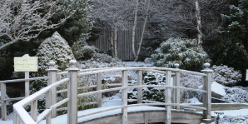 a winter scene with a small wooden footbridge traversing a stream and snow-covered shrubs in the background